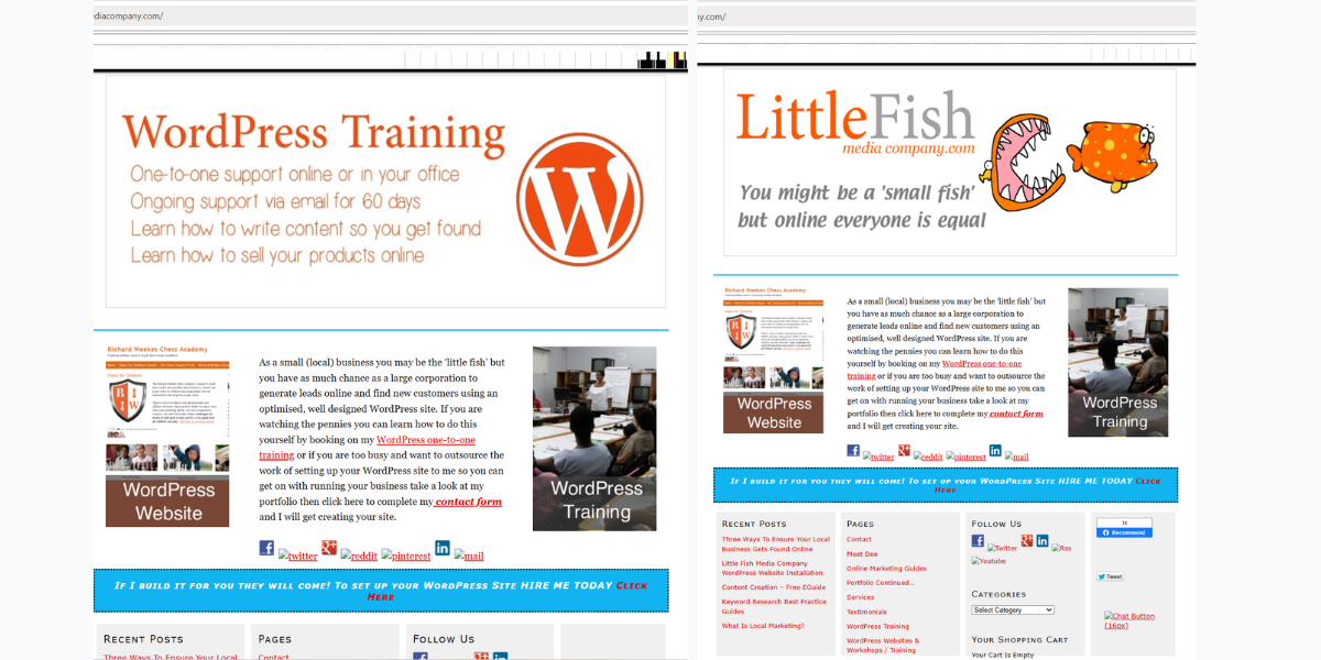 From Little Fish to Tech VA